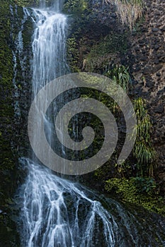 Kitekite falls, Waitakere Ranges, New Zealand