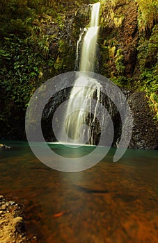 KiteKite Waterfall Piha
