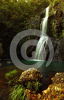 KiteKite Waterfall Piha