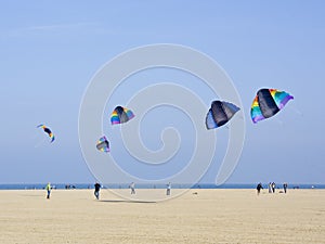 Kites