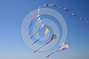 Kites photo