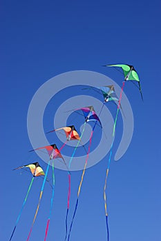 Kites against blue sky