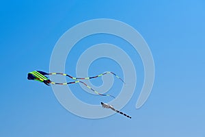 Kites against clear blue sky