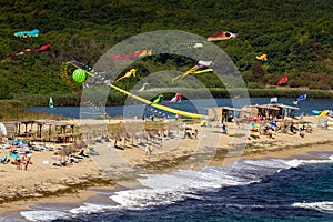 Kites on the beach in a summer day