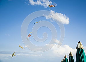 Kites and beach umbrellas