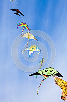 Kites in the blue sky