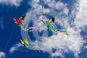 Kites Butterflies