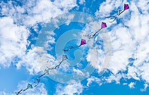 Kites flying in dramatic blue cloudy sky photo