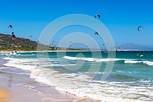 Kites flying over Tarifa beach photo