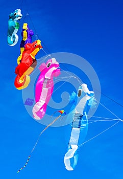 Kites flying over Treasure Island Beach, Florida