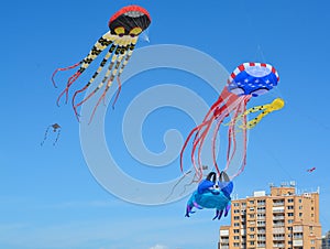 Kites flying over Treasure Island Beach, Florida