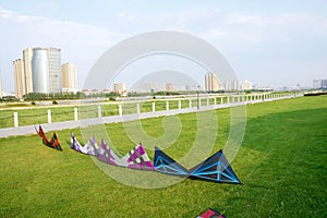 Kites in park