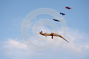 kites in the shape of a dragon, a whale and dinosaurs soar in the sky on the same rope