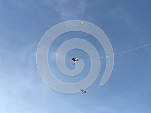 Fly the kites against the blue sky