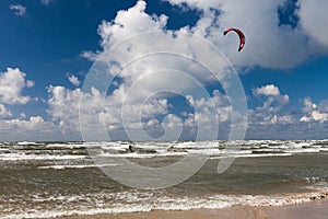 Kitesurfer and seagull