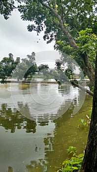 A kitschy sight of pond near to Shamganj railway station
