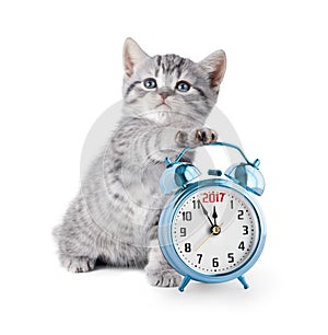 Kitten with alarm clock displaying 2017 year