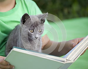 Kitten on arm of the boy outdoors,