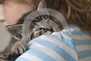 Kitten on arm of the boy outdoors, child huge his love pet