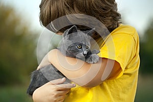 Kitten on arm of the boy outdoors, child huge his love pet