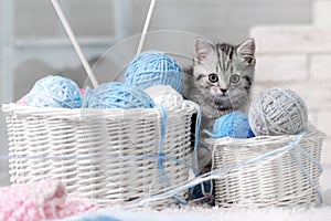 Kitten in a basket with balls of yarn