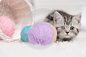 Kitten in a basket with balls of yarn