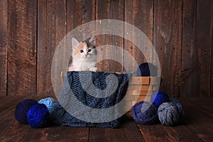 Kitten in a Basket of Knitting Yarn on Wooden Background