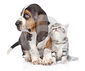 Kitten and basset hound puppy standing together. isolated on white