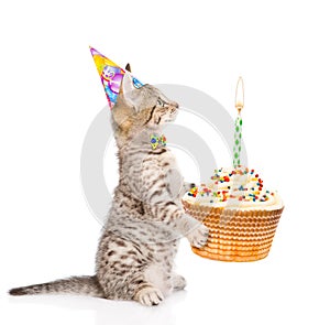 Kitten in birthday hat holding cake with candles. isolated on white background