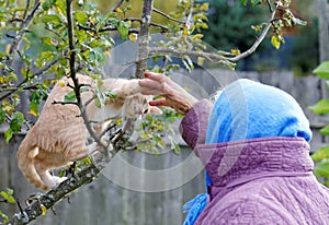 The kitten bites a hand of the woman