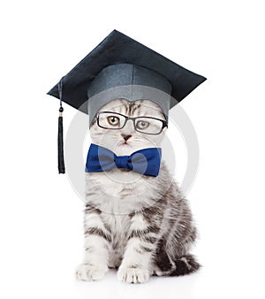 Kitten with black graduation hat and eyeglasses. isolated on white background