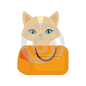 kitten blue eyes yellow pet carrier traveling