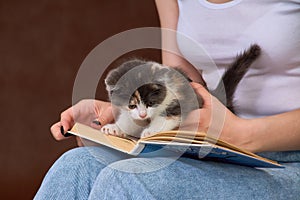 a kitten on a book on a young woman& x27;s lap.