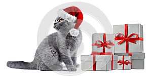 Kitten cat blue british shorthair with red white santa hat gift