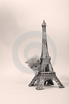 Kitten climbing in Tour Eiffel