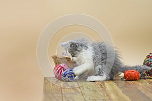 Kitten with colorful wool yarn balls