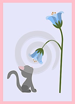 Kitten and flower