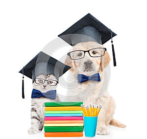 Kitten and Golden retriever puppy with black graduation hats and eyeglasses sitting together behind books. isolated on white