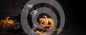 Kitten in the halloween costume with jack pumpkin. Banner with copy space. Generated AI