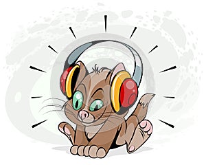 Kitten with headphones