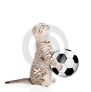 Kitten holding a soccer ball in his paws and looking up. isolated on white background