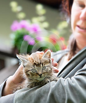 Kitten with mistress