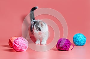 Kitten with multi-colored balls of woolen threads on a pink background