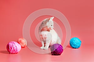 Kitten with multi-colored balls of woolen threads on a pink background