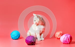 kitten with multi-colored balls of woolen threads on a pink background