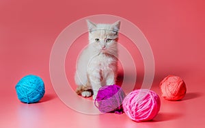 kitten with multi-colored balls of woolen threads on a pink background