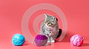 kitten with multi-colored balls of woolen threads on a pink background