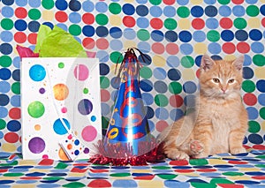 Kitten with party hat and gift bag