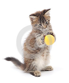 Kitten Playing with Ball