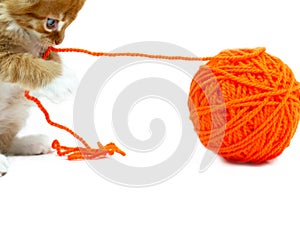 Kitten playing with ball of wool